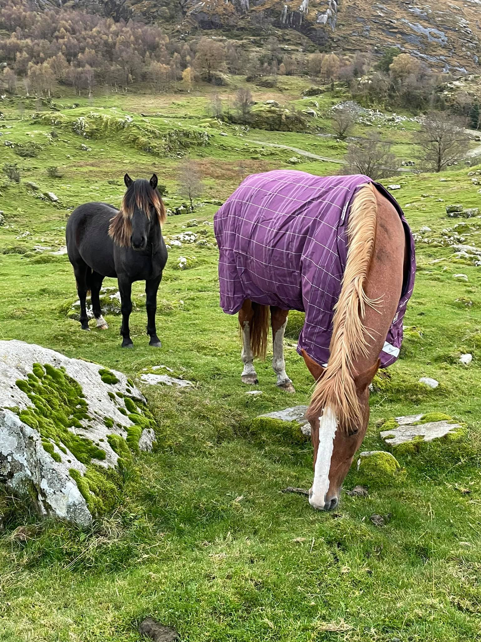 245159607_10158086639941128_2558267699359759244_n