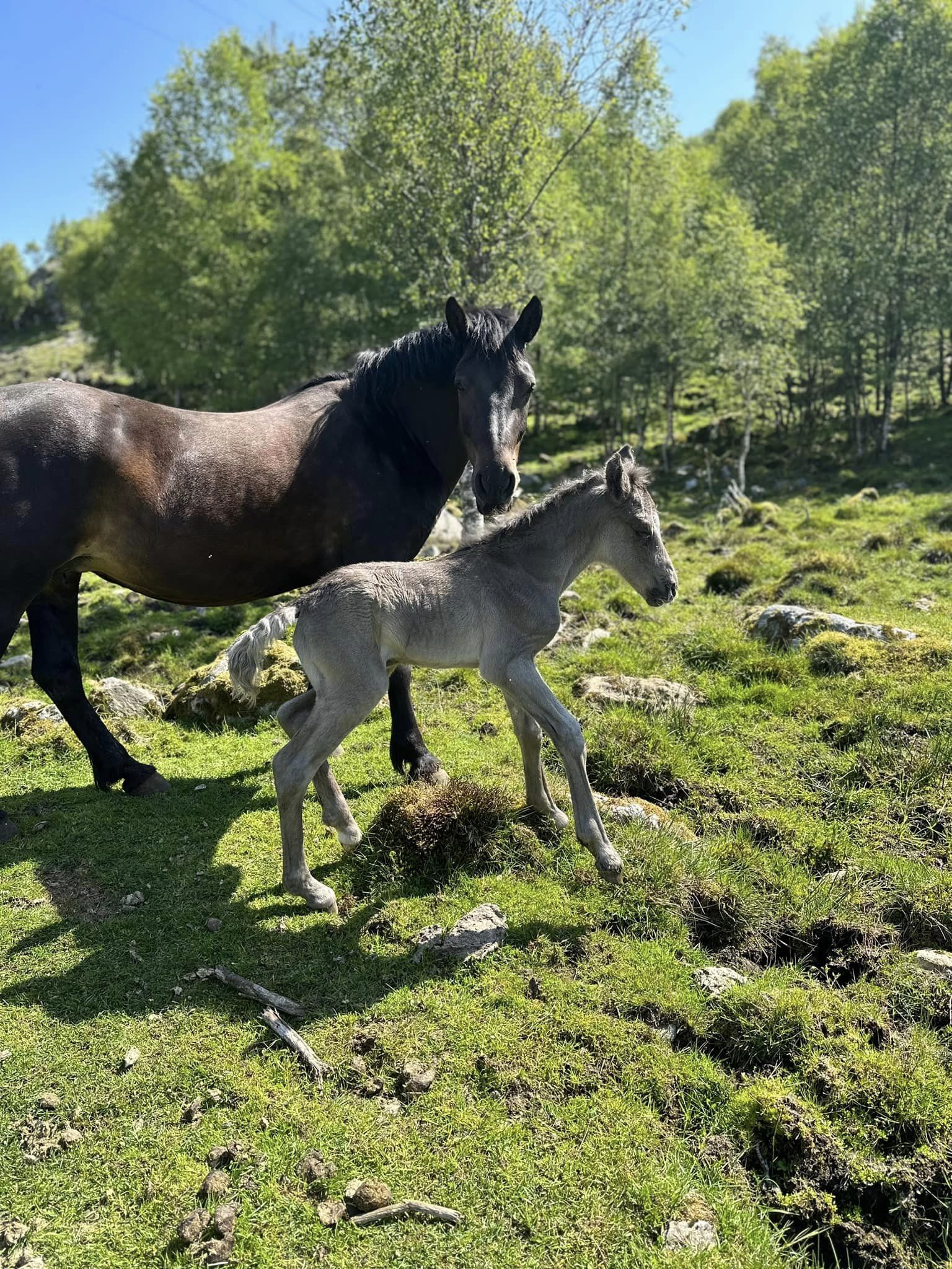 350514333_6266023980146212_4018452284706327847_n